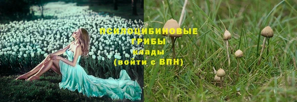 каннабис Анжеро-Судженск