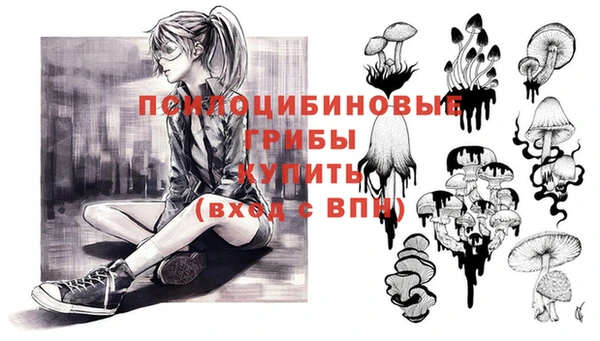 a pvp Армянск