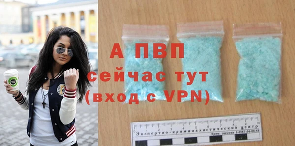 спиды Аркадак